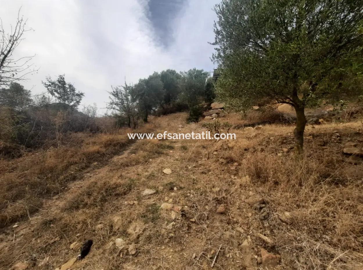 2 500 M2 Treasury Land In Eskiköy Possession Right Will Be Transferred Or Vehicle Exchanged