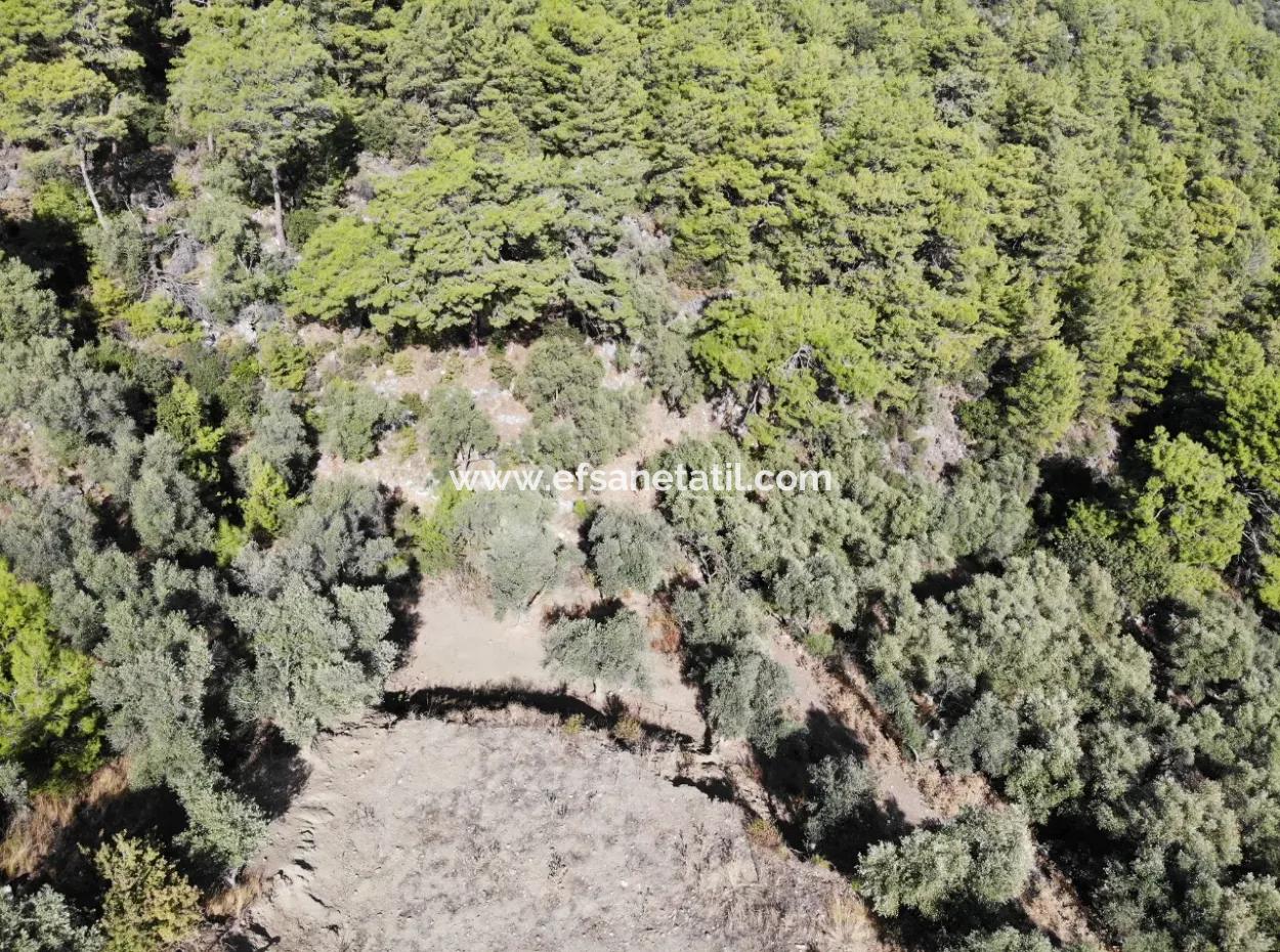 For Sale 403 M2 Plot Of Land In Sarigerme