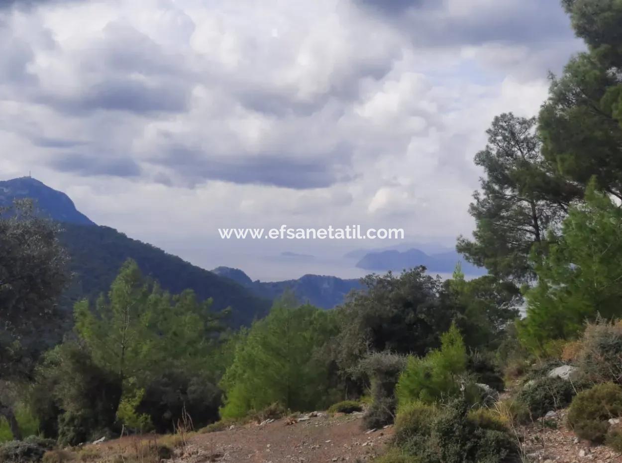 Muğla Dalyan Gökbelde 7 270 M2 Detached Title Deed Sea And Lake View Land For Sale