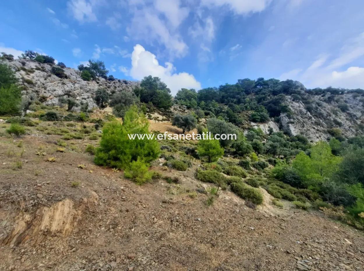 Muğla Dalyan Gökbelde 7 270 M2 Detached Title Deed Sea And Lake View Land For Sale