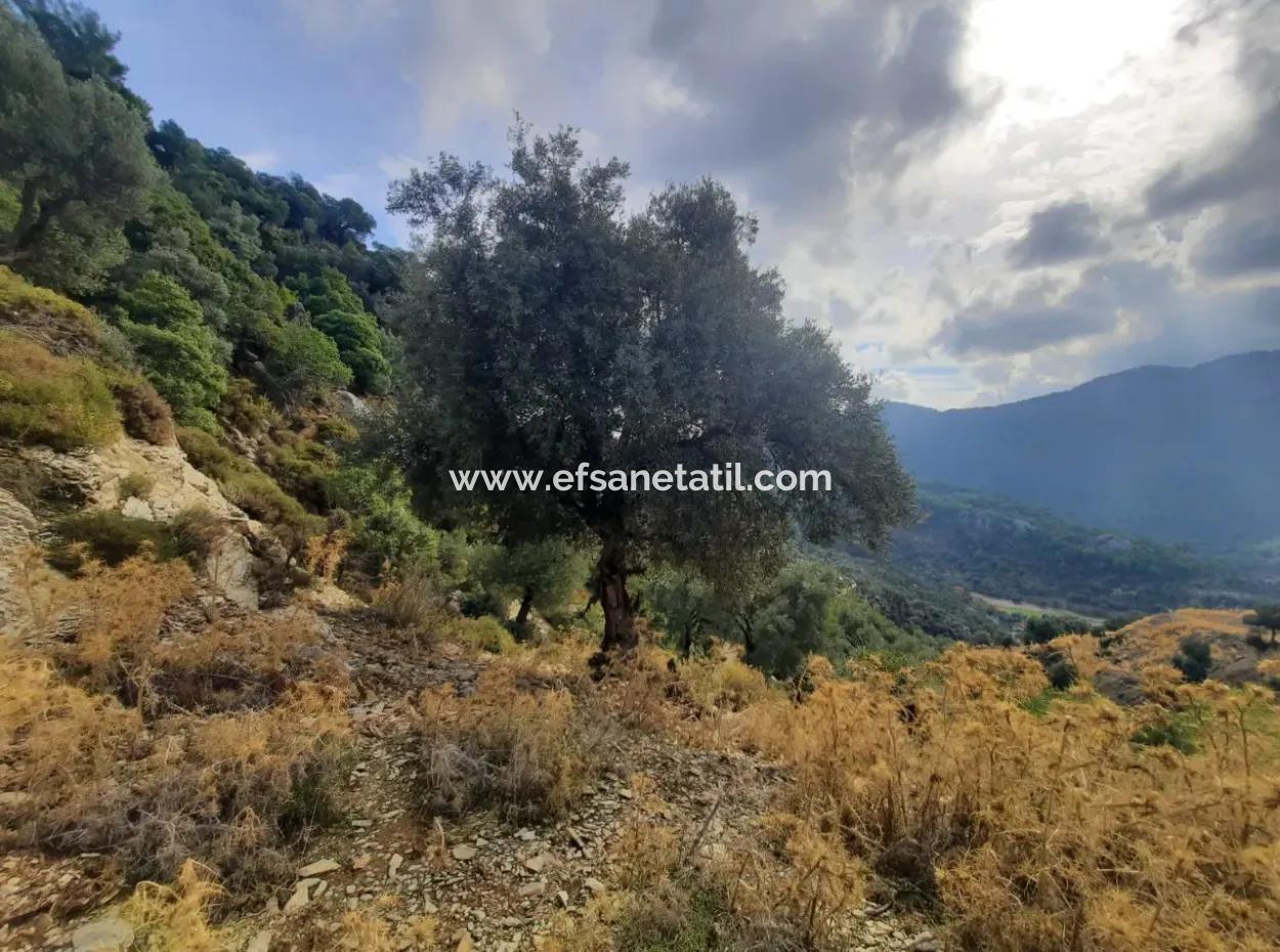 Muğla Dalyan Gökbelde 7 270 M2 Detached Title Deed Sea And Lake View Land For Sale