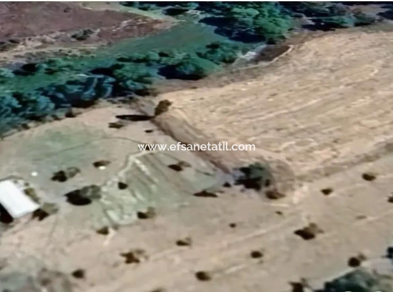 3500 M2 Zoned Walnut Orchard For Sale In Denizli Çameli Cevizli