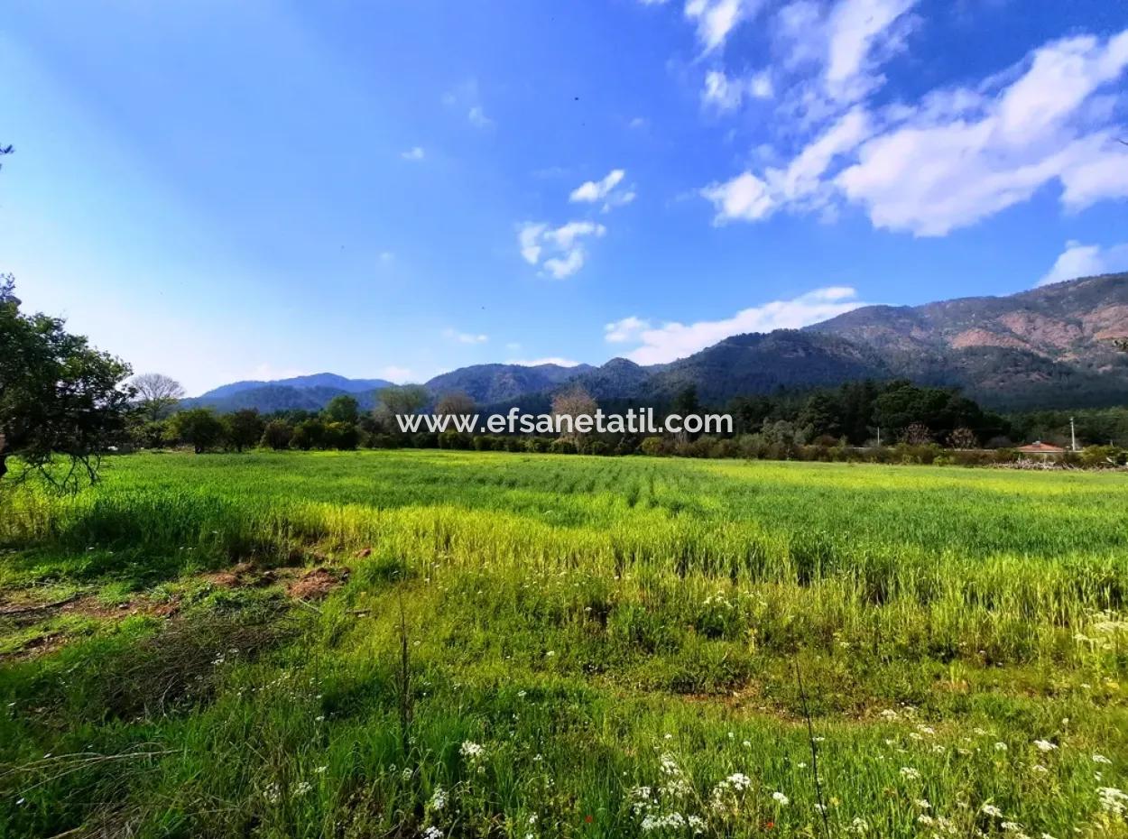 Köyceğiz Yangida Main Road Zero Investment Suitable Bargain Land For Sale