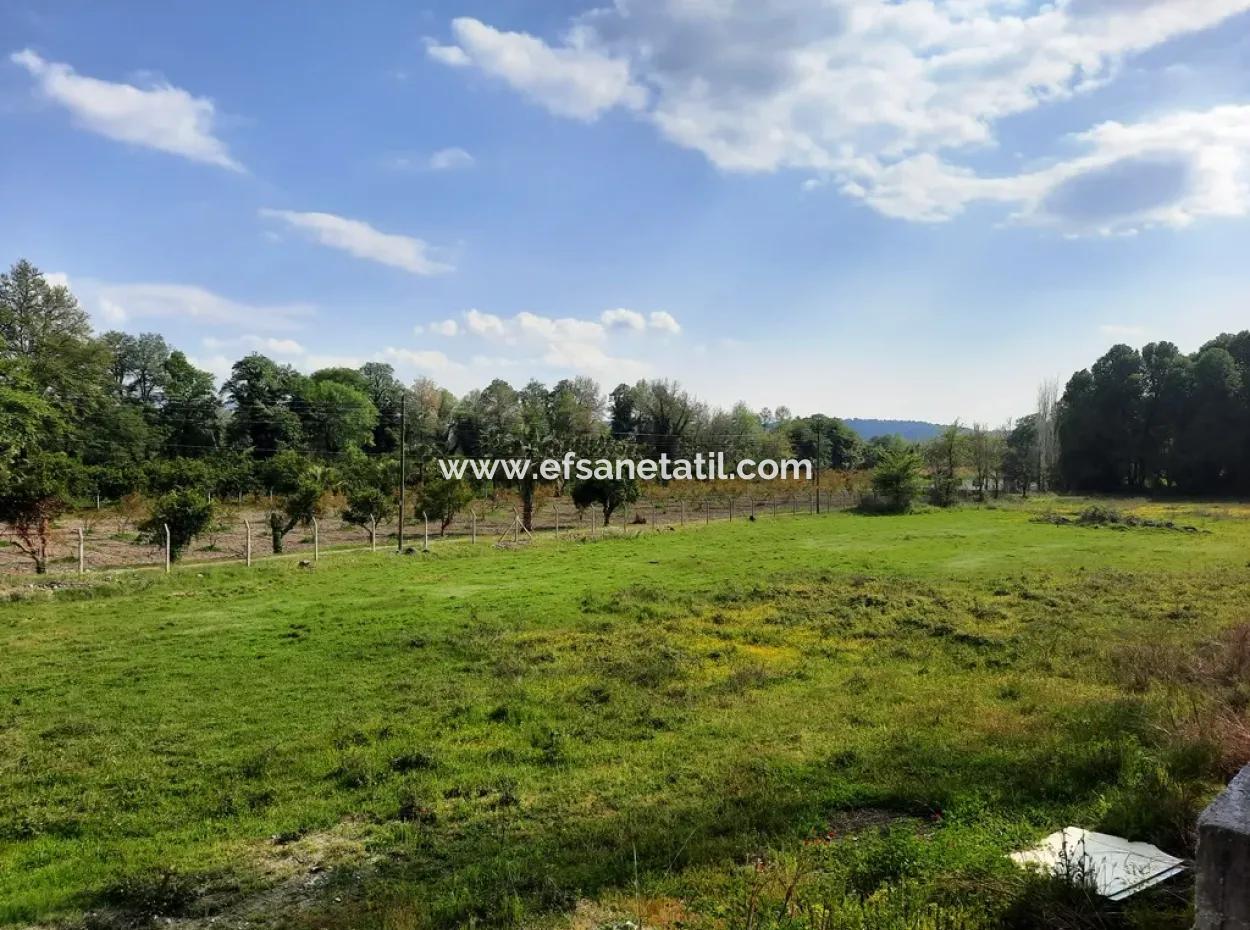 Köyceğiz Yangida Main Road Zero Investment Suitable Bargain Land For Sale