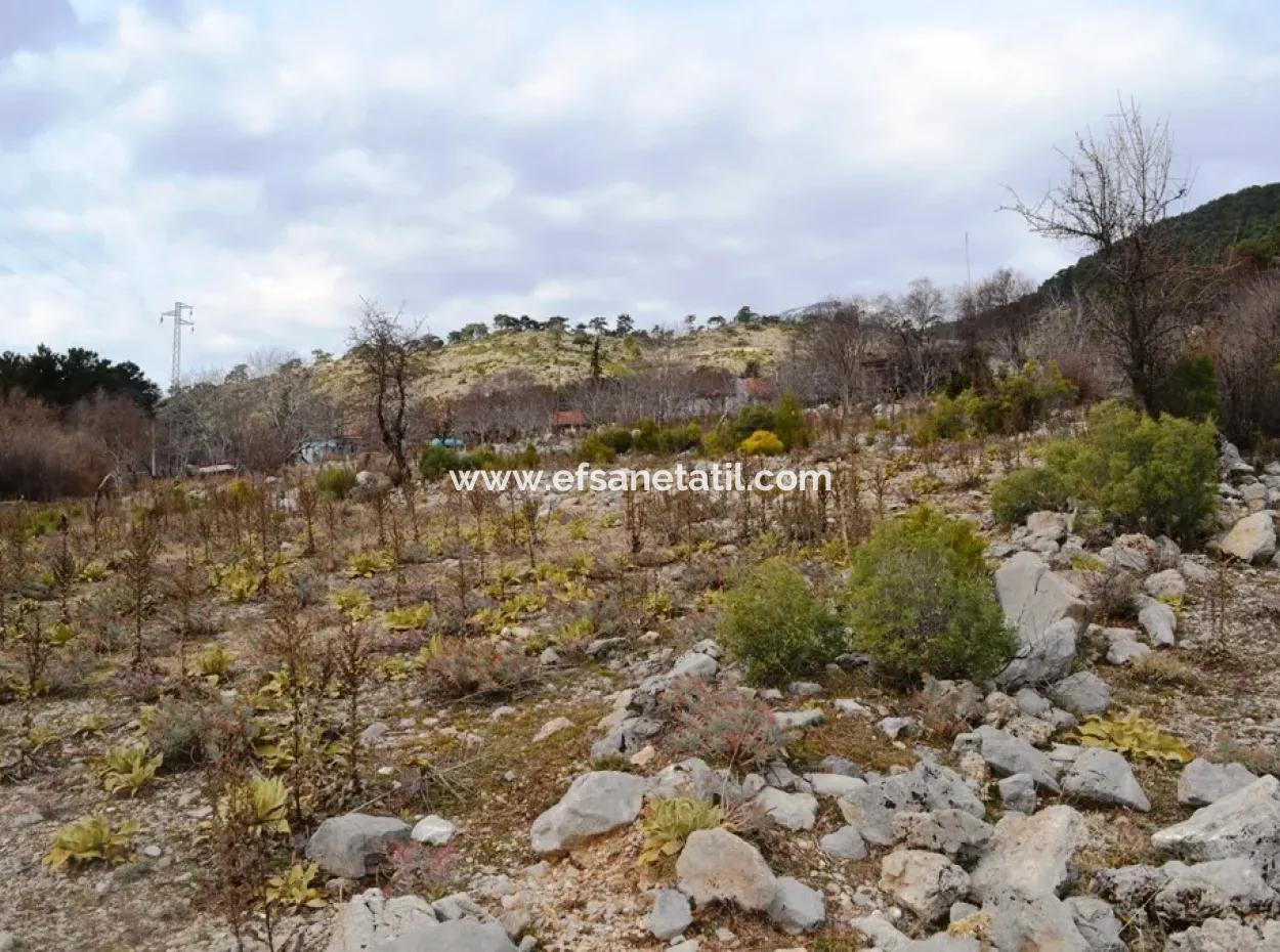 Fethiye, Nifte, 2 000 M2, Detached For Sale, Bargain Land