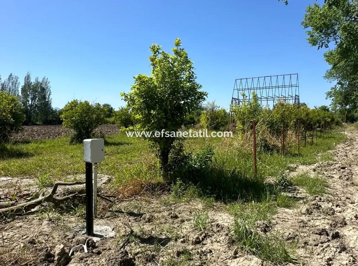 Archers Also For Sale 500 M2