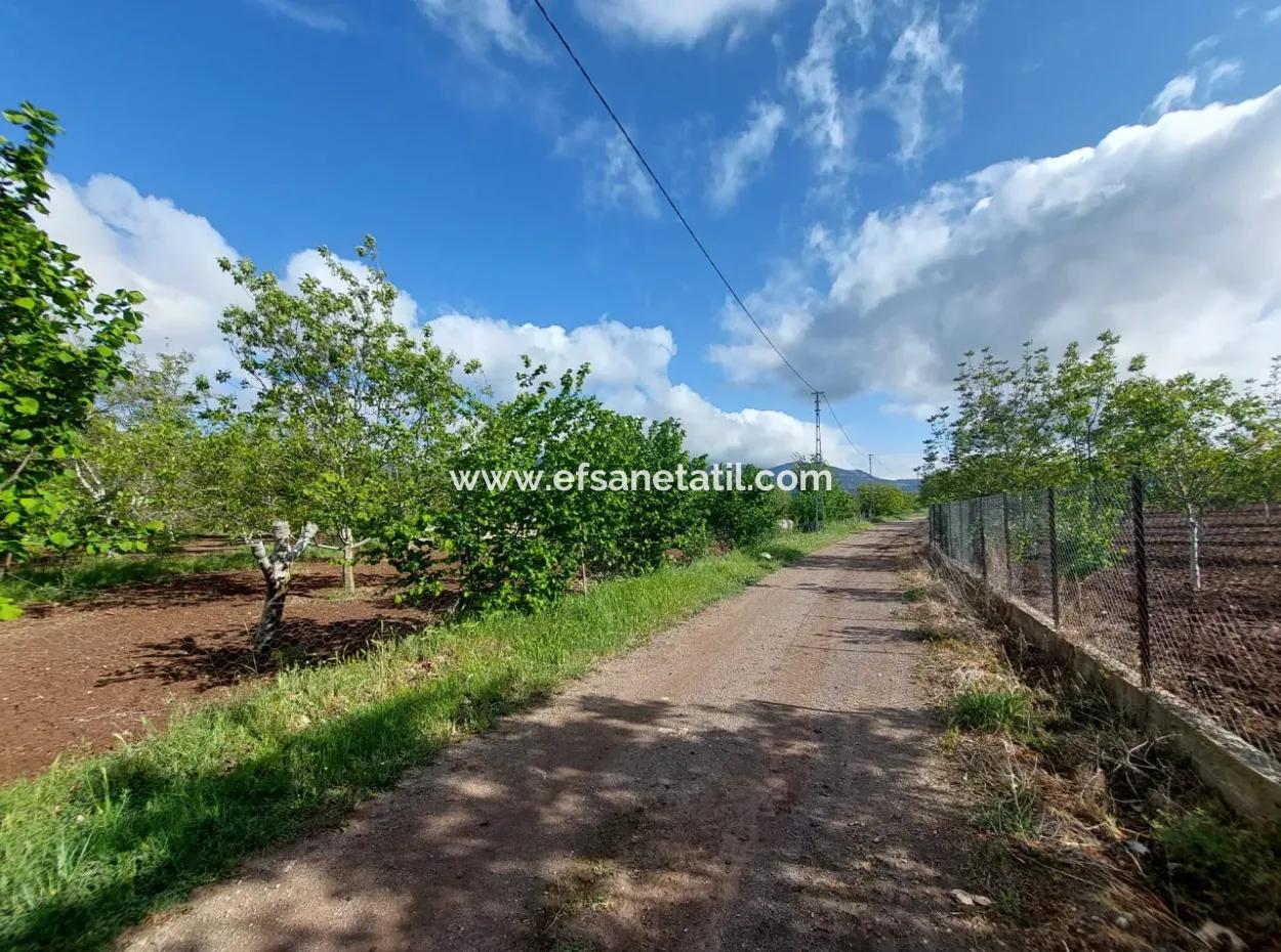 1000 M2 Land In Çameli Kızılyaka, For Sale Or Exchange For 2 1 Apartments In Ortaca