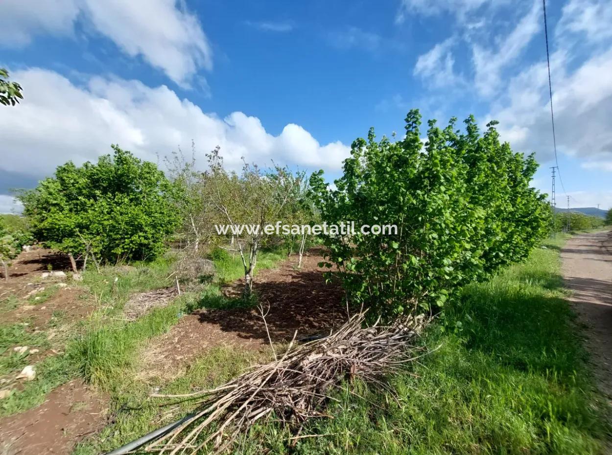 1000 M2 Land In Çameli Kızılyaka, For Sale Or Exchange For 2 1 Apartments In Ortaca