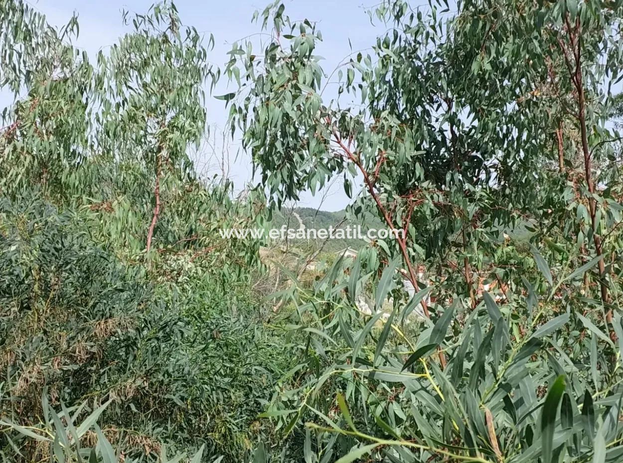 18 Villas Suitable For Mass Housing In Dalaman, 6 165 M2 Zoned Land For Sale