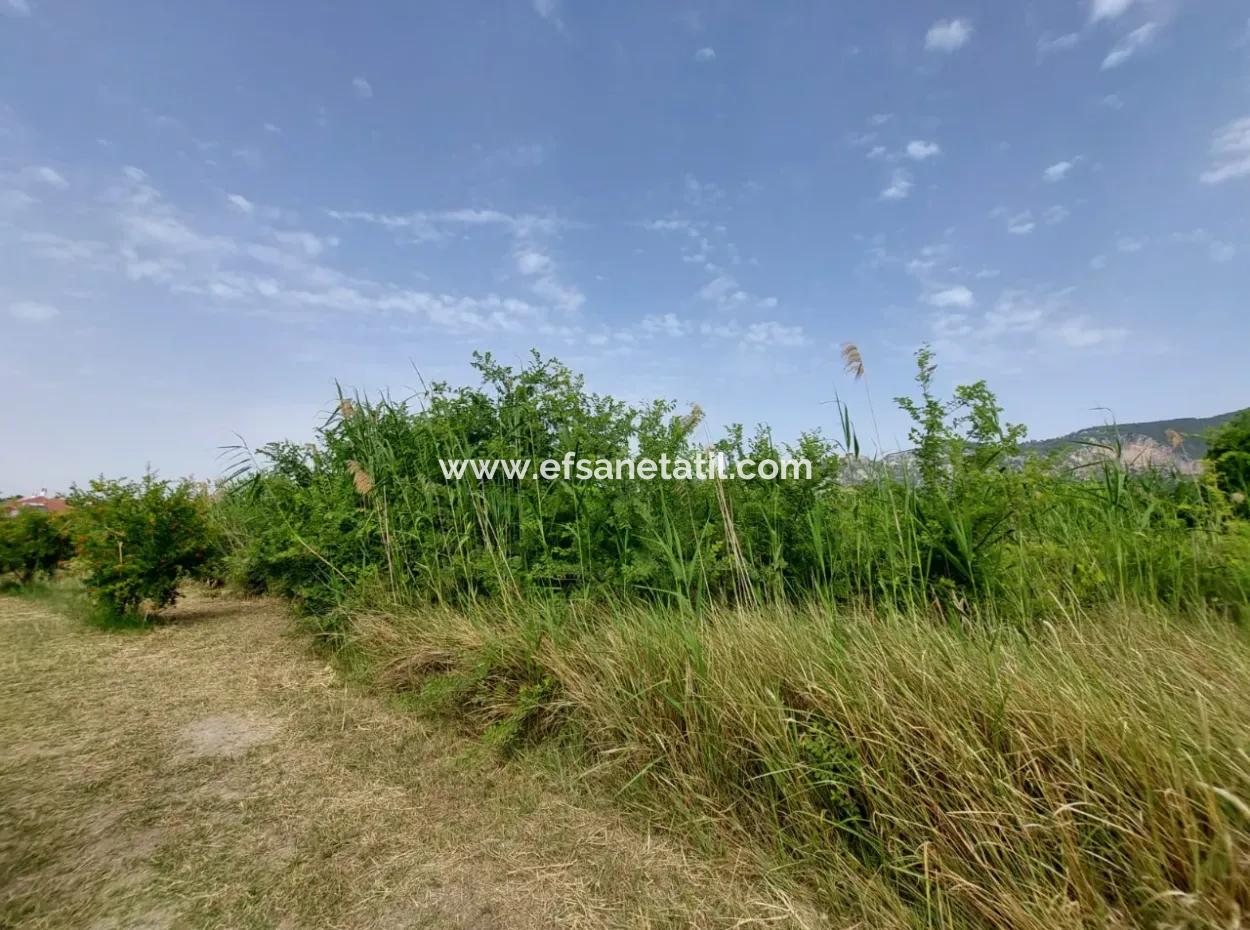1.500 M2 Detached Field For Sale In Dalyan