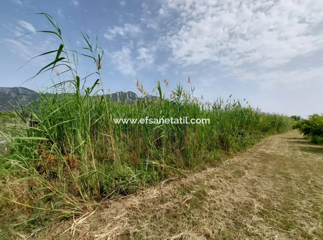 1.500 M2 Detached Field For Sale In Dalyan