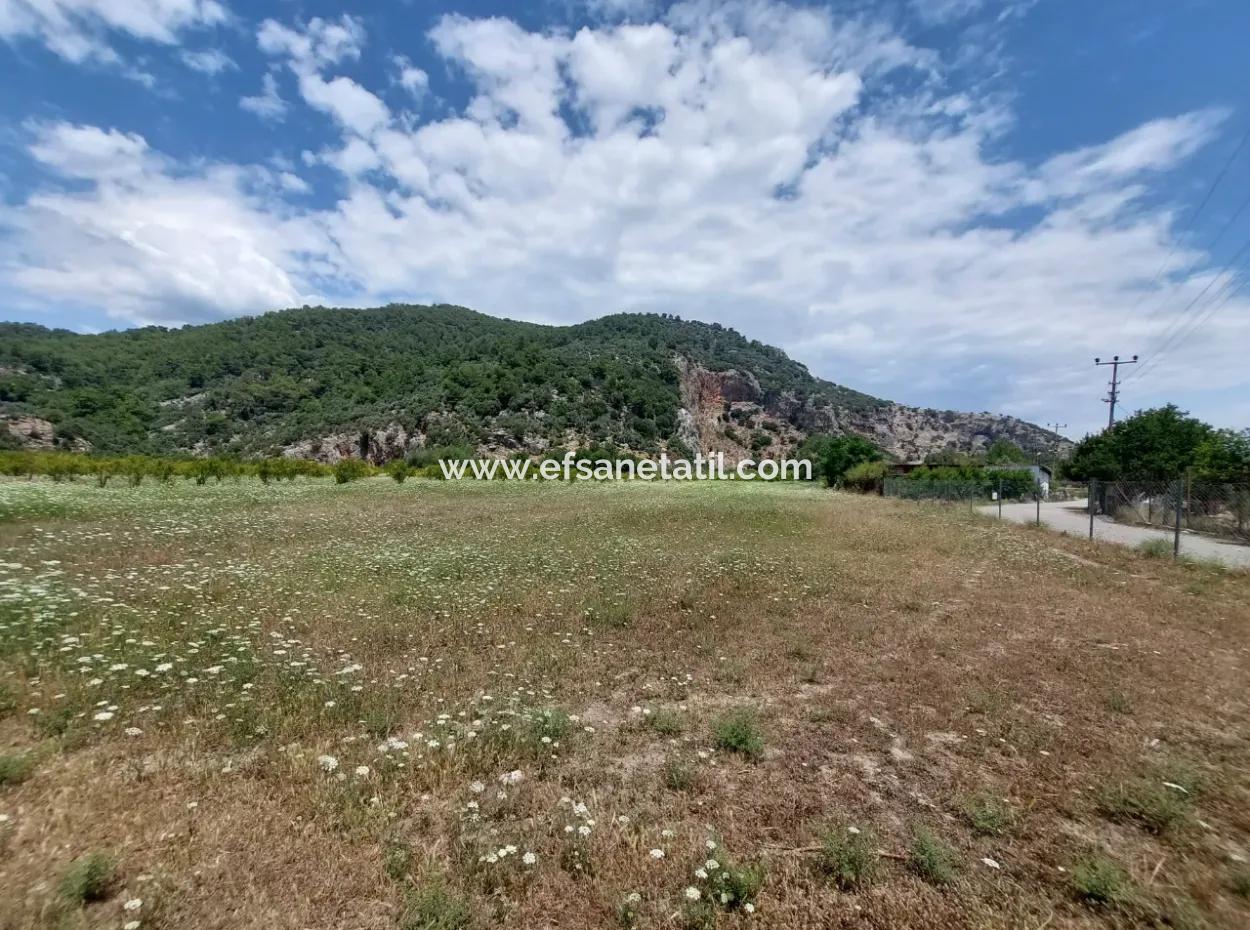 Köyceğiz Çandırda Detached Title Deed 33.800 M2 Field For Sale