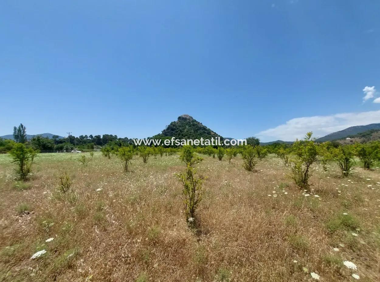Köyceğiz Çandırda Detached Title Deed 33.800 M2 Field For Sale