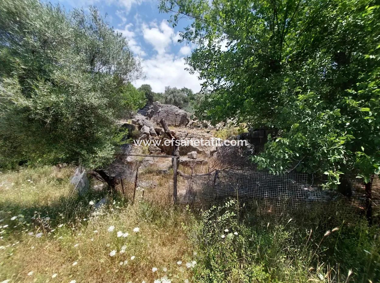 Köyceğiz Çandırda Detached Title Deed 33.800 M2 Field For Sale