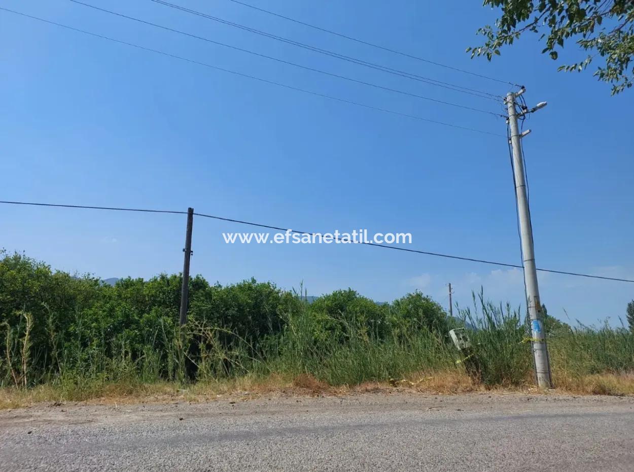 Muğla Ortaca Ekşiliyurtta Roadfront 7.000 M2 Lemon Garden For Sale