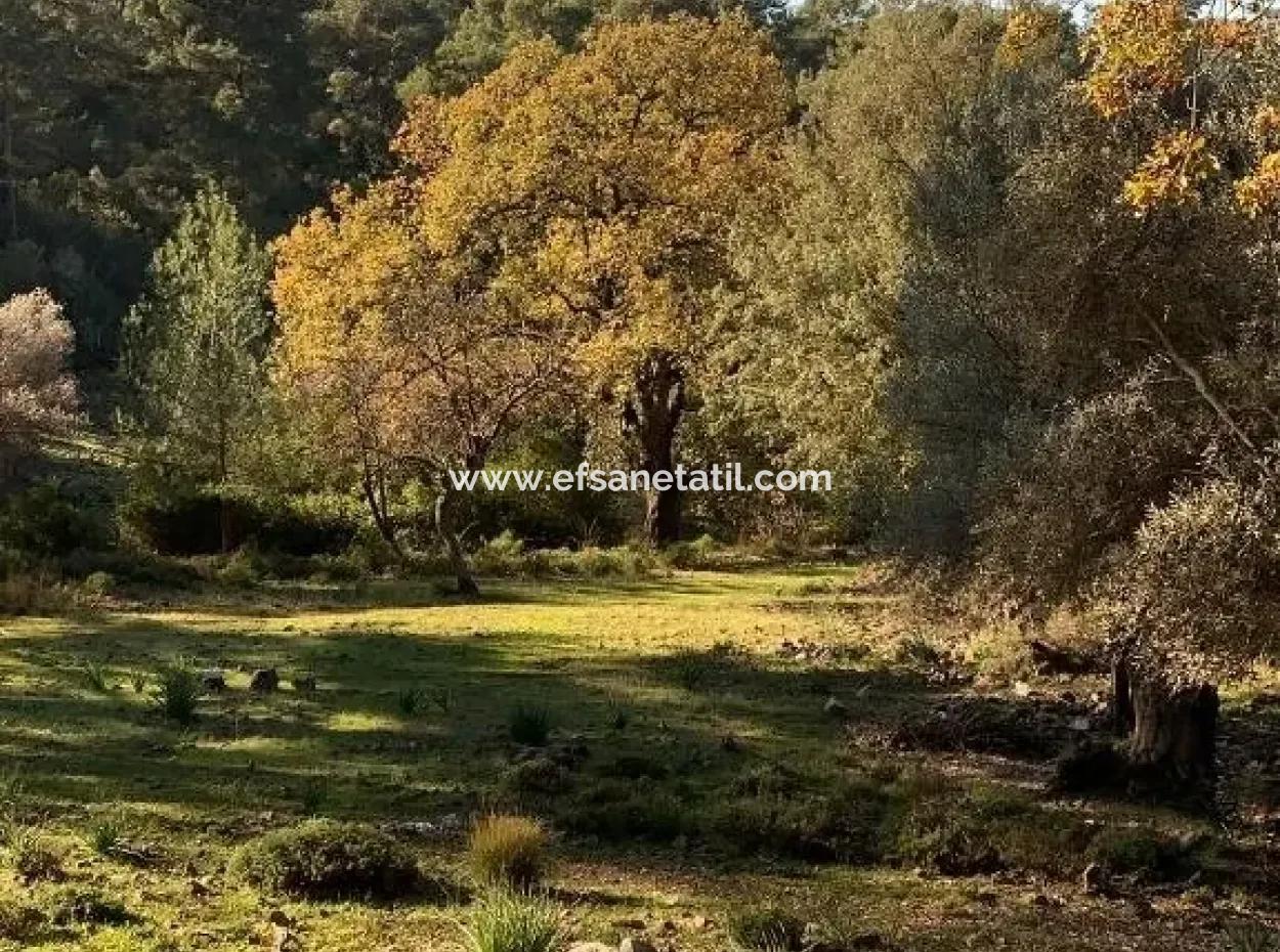 Investment Gocek Land For Sale Suitable For Te