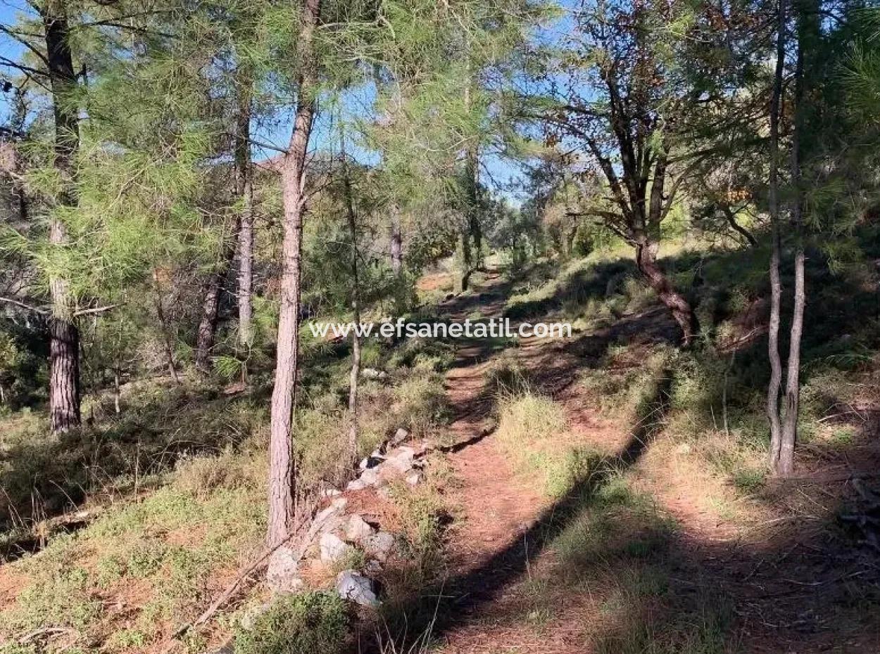 Investment Gocek Land For Sale Suitable For Te