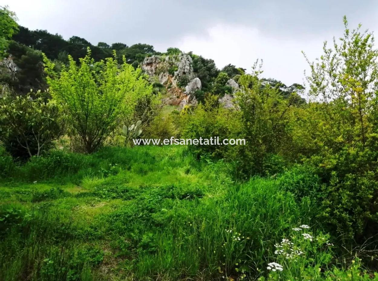 Güzelyurt For Sale Landscaped Gardens Pomegranate Ta