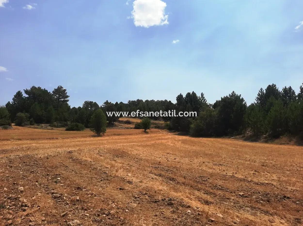 3 Parcels Of Land For Sale In Çameli Gökçeyaka