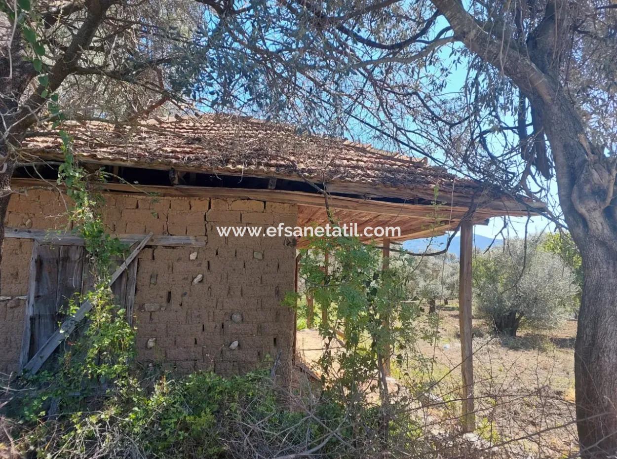 Village House With Lake View And Olive Grove Land For Sale In Köyceğiz Çandır, Muğla