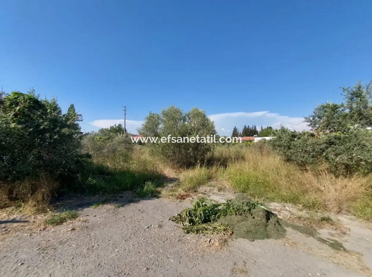 Land Zoned In Dalyan Arikbaşi Area For Sale