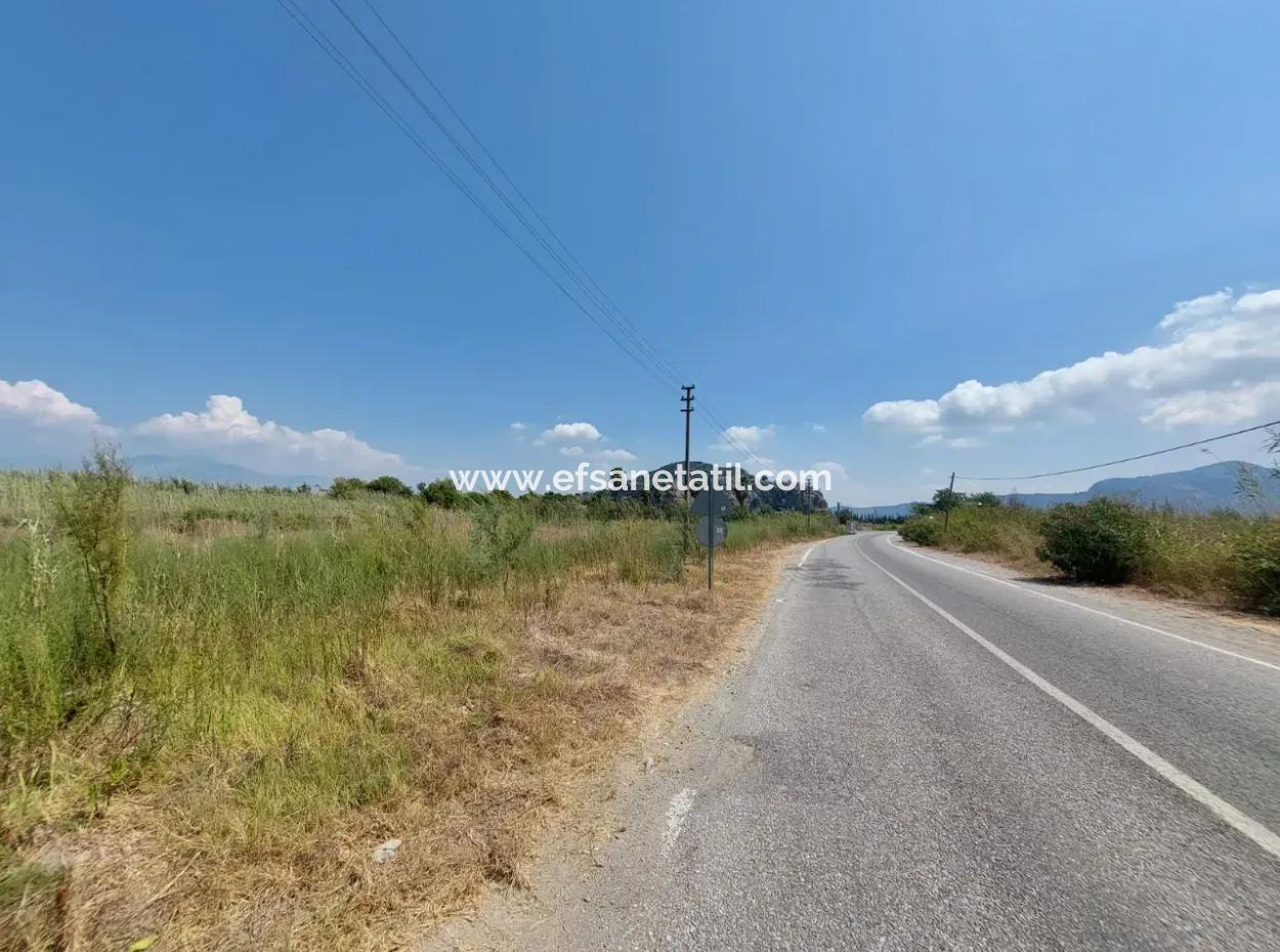 Muğla Ortaca Dalyanda 7.353 M2 Detached Land Close To The Canal For Sale