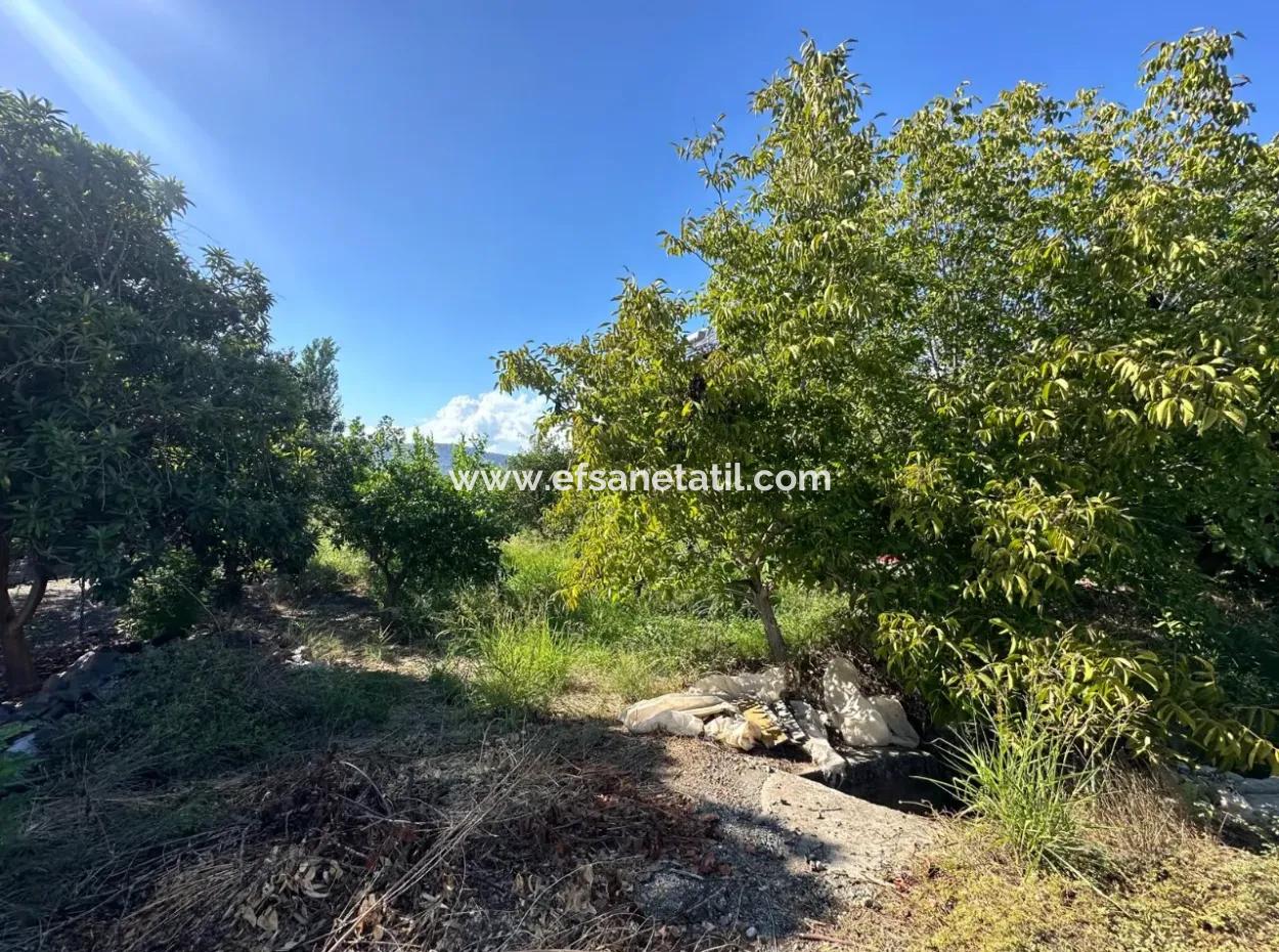 1129 M2 Zoned Land For Sale In Ortaca Dalaklı