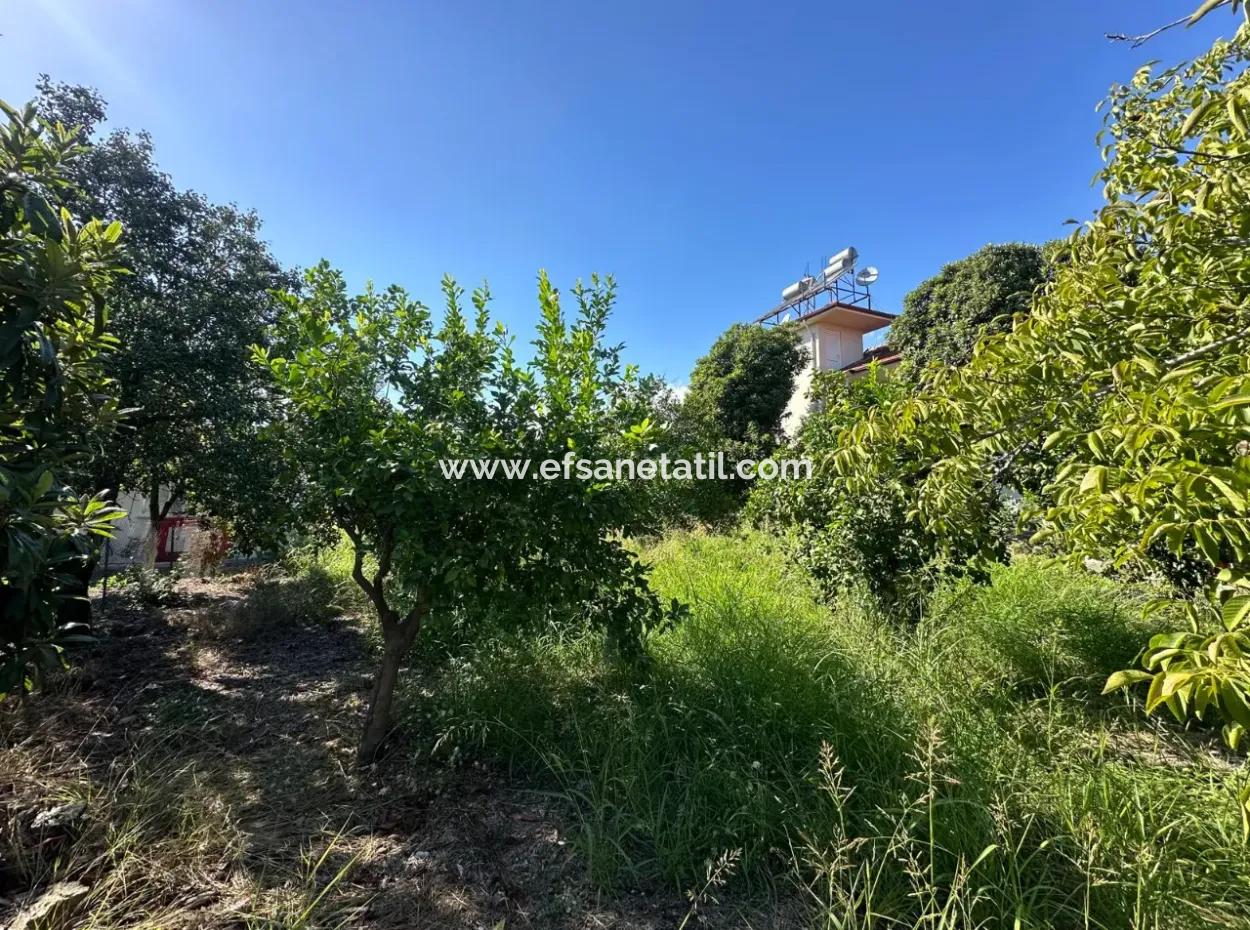1129 M2 Zoned Land For Sale In Ortaca Dalaklı