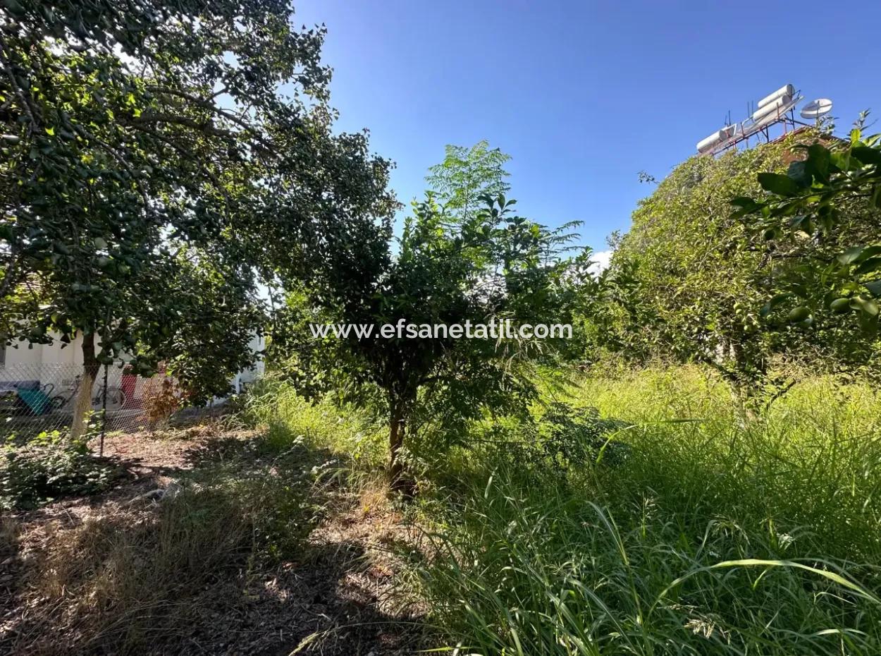 1129 M2 Zoned Land For Sale In Ortaca Dalaklı
