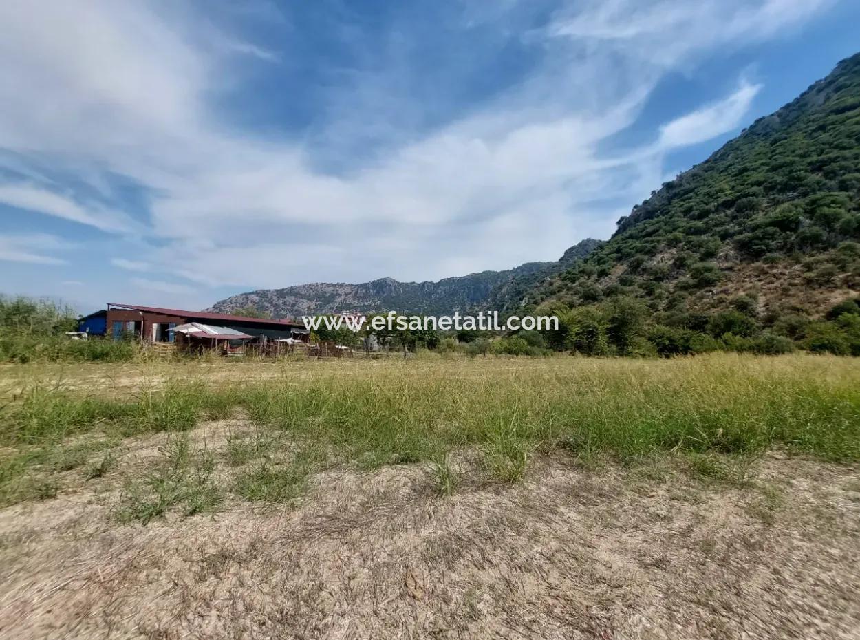 Mountainfront Fertile 1.680 M2 Land For Sale In Dalyan, Muğla