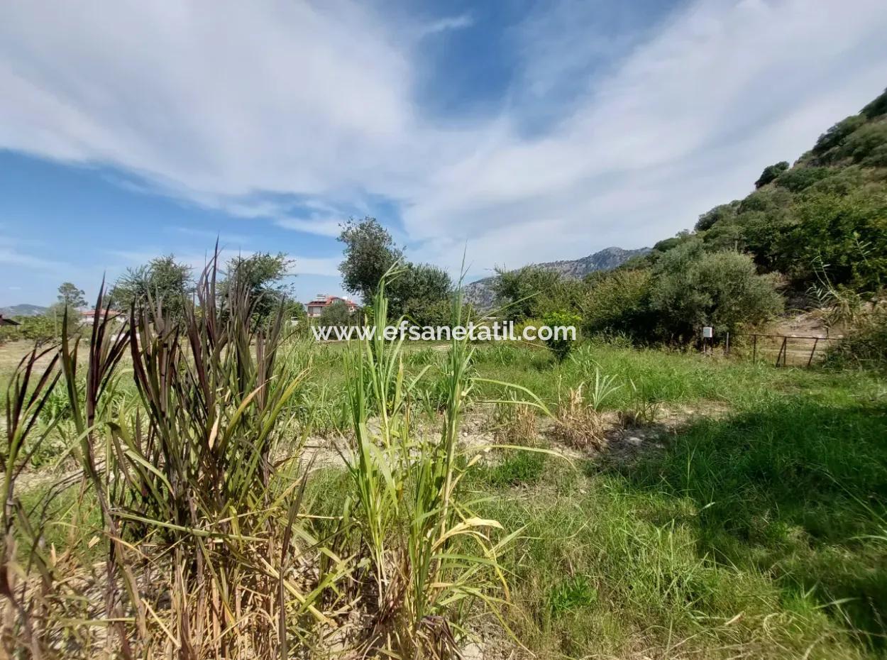 Mountainfront Fertile 1.680 M2 Land For Sale In Dalyan, Muğla
