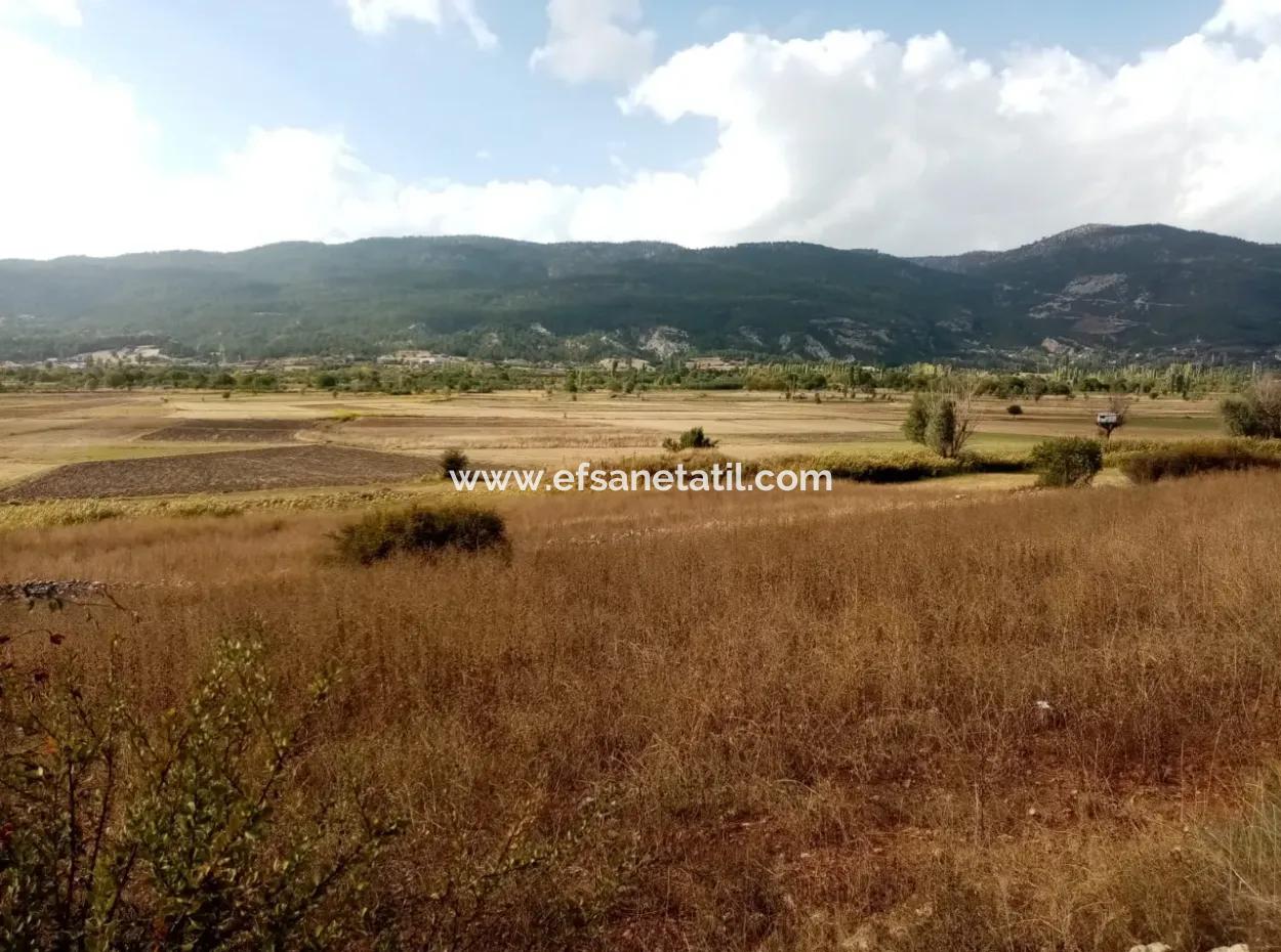 2603 M2 Field For Sale In Denizli Çameli Belevi Neighborhood