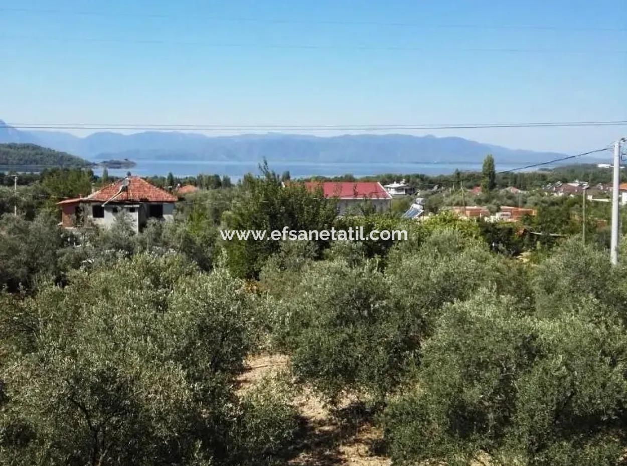 He Completed His Education At Koycegiz Lake View Home For Sale