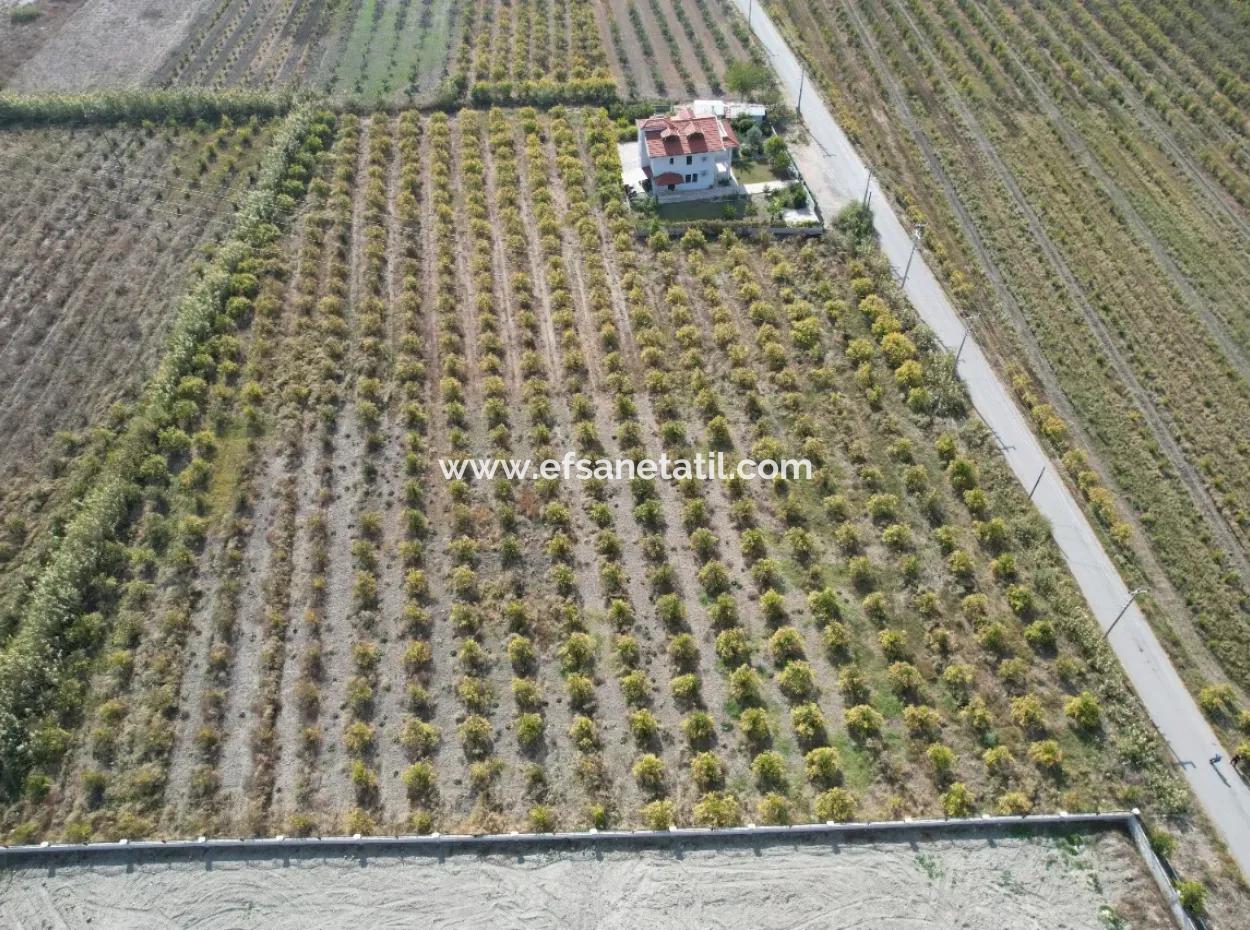 Muğla Dalyanda Canal 2Nd Parcel Detached 5.000 M2, 250 M2 Land With Construction Right For Sale