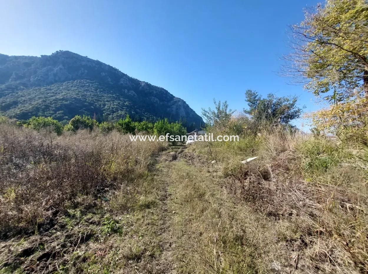 6 500 M2 In Muğla Ortaca Marmarlı, Land New To The Zoning Plan For Sale