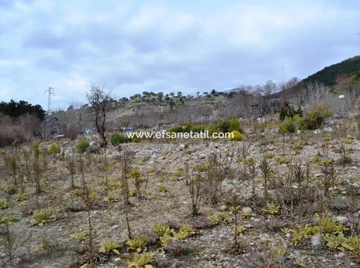 For Sale Bargain Land In Fethiye Ta Sty