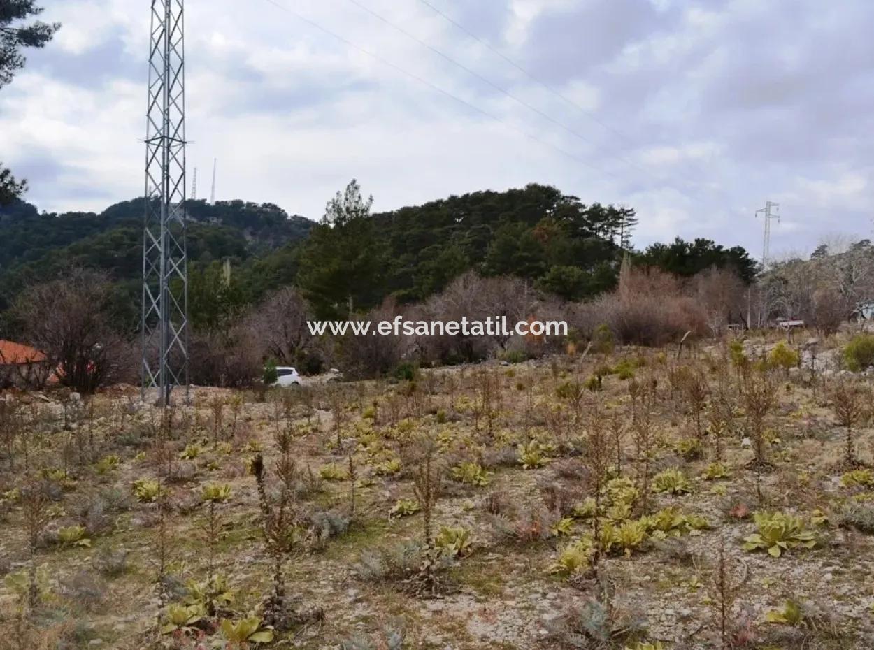 For Sale Bargain Land In Fethiye Ta Sty
