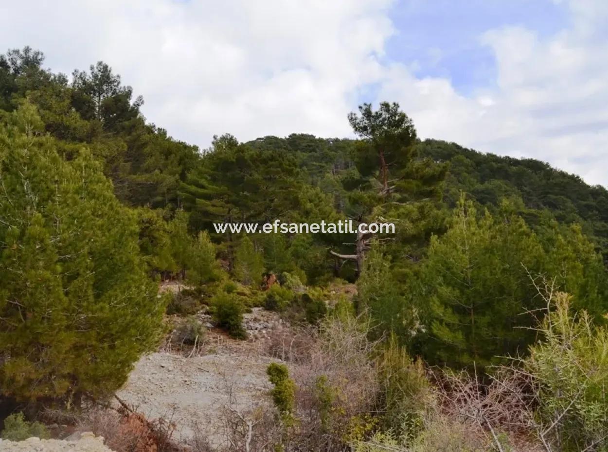 For Sale Bargain Land In Fethiye Ta Sty