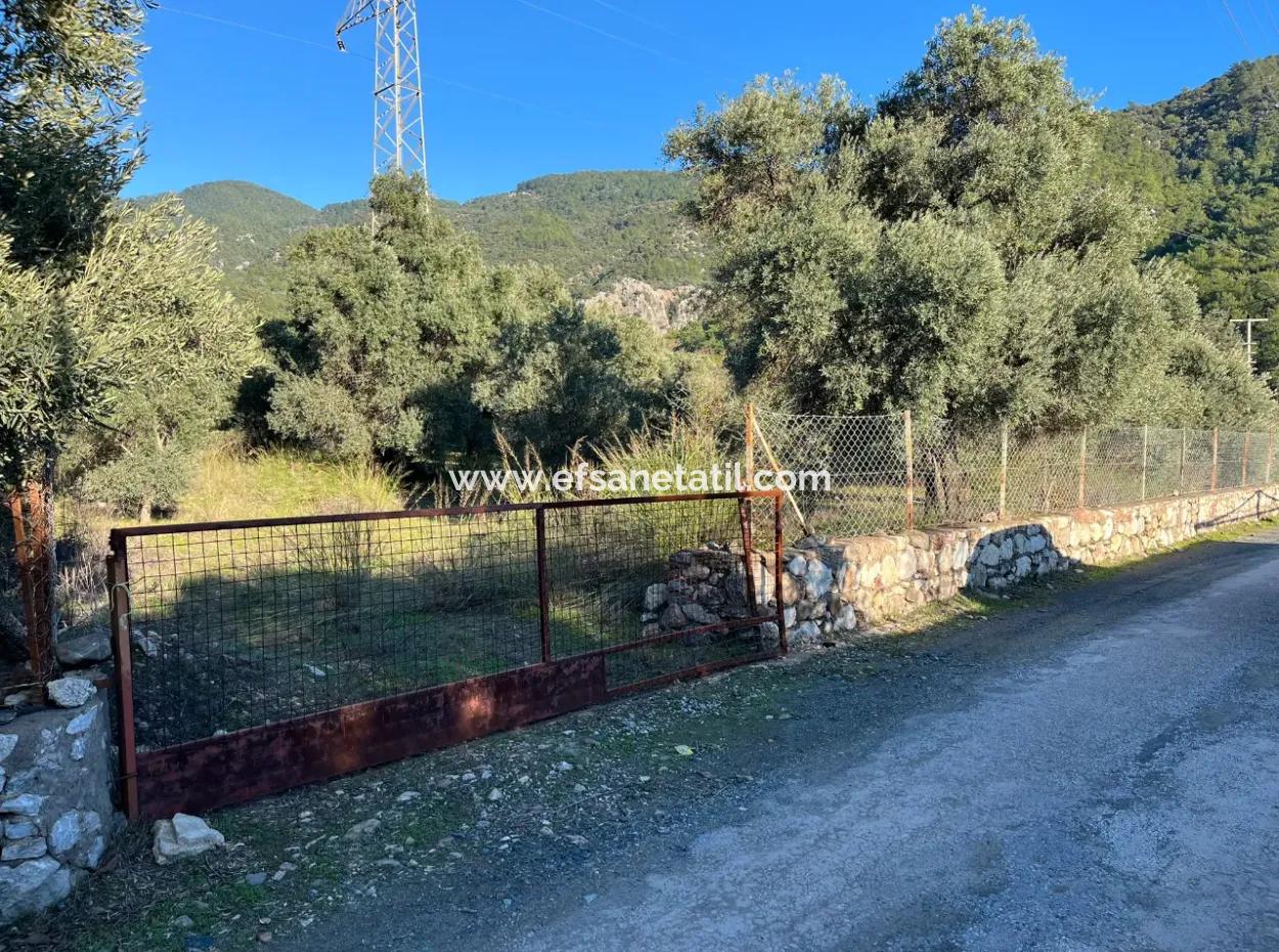 For Sale 3.300 M2 Land Suitable For Deposit In Muğla, Köyceğiz, Ekincik