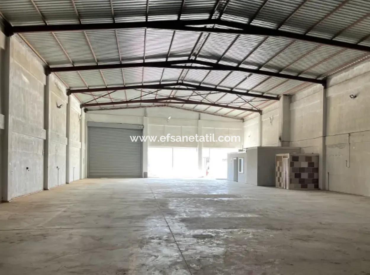 Rental Shop Industry Location 750M2