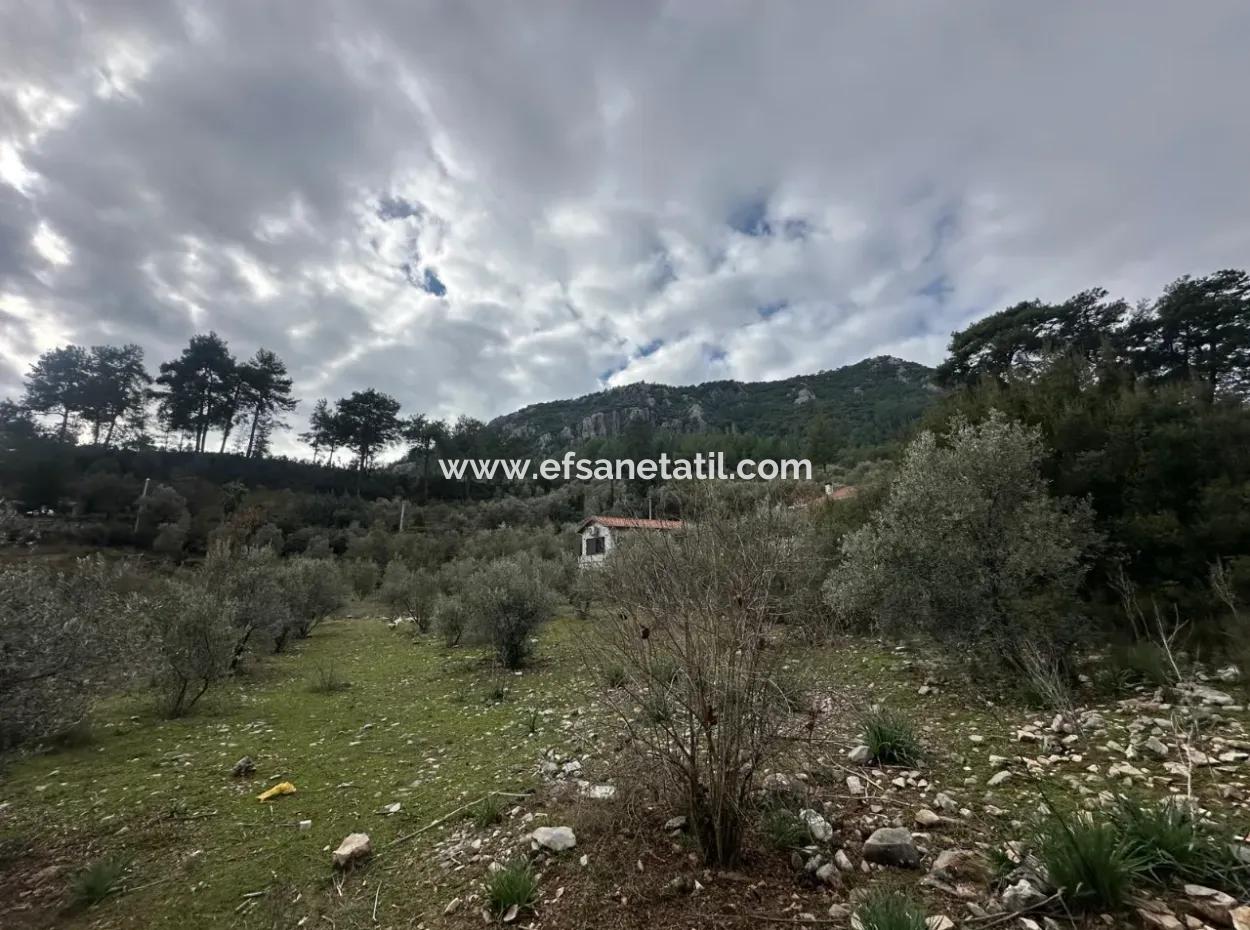 For Sale In Fethiye Gökçeovacıkta 1709 M2