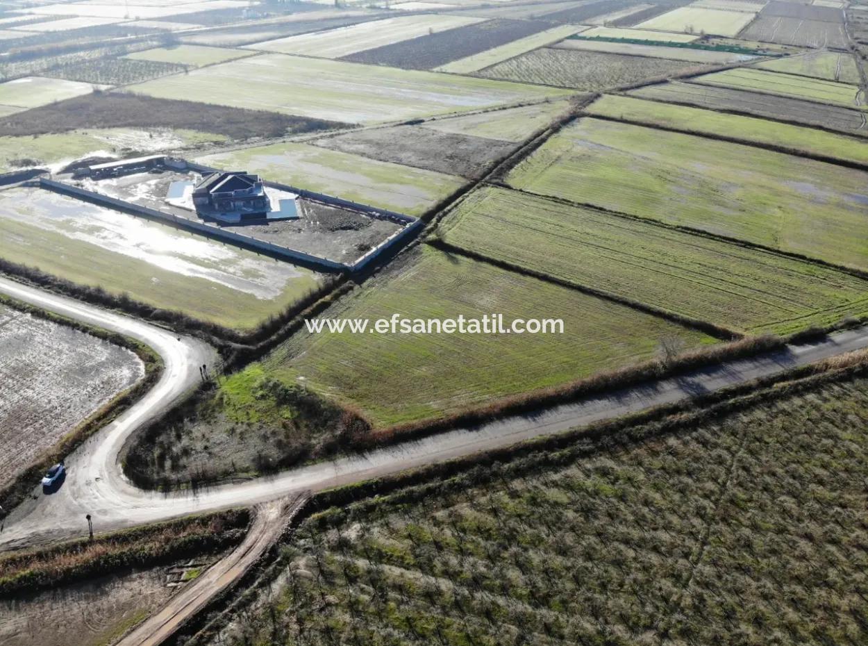 Fields Suitable For Cooperative In Ortaca Güzelyurt Are For Sale