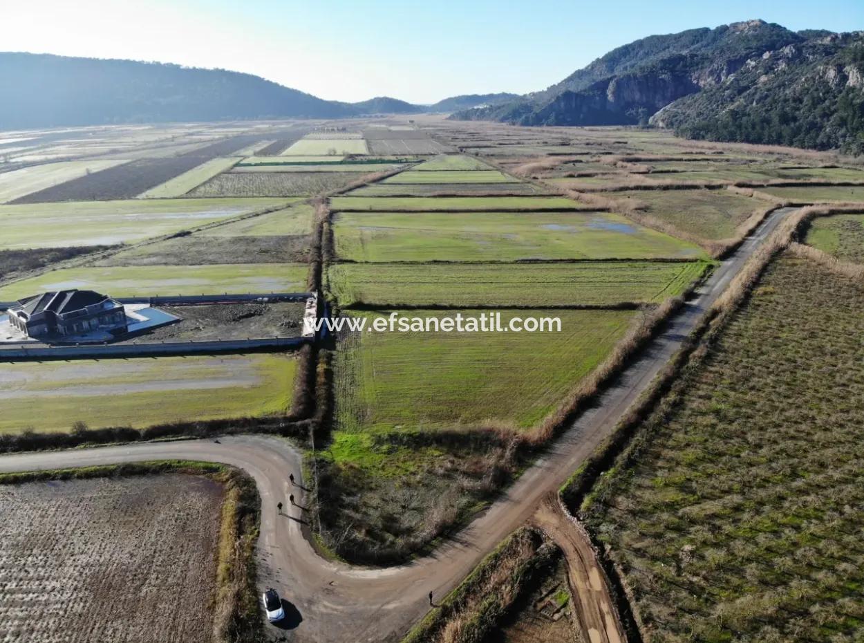 Fields Suitable For Cooperative In Ortaca Güzelyurt Are For Sale