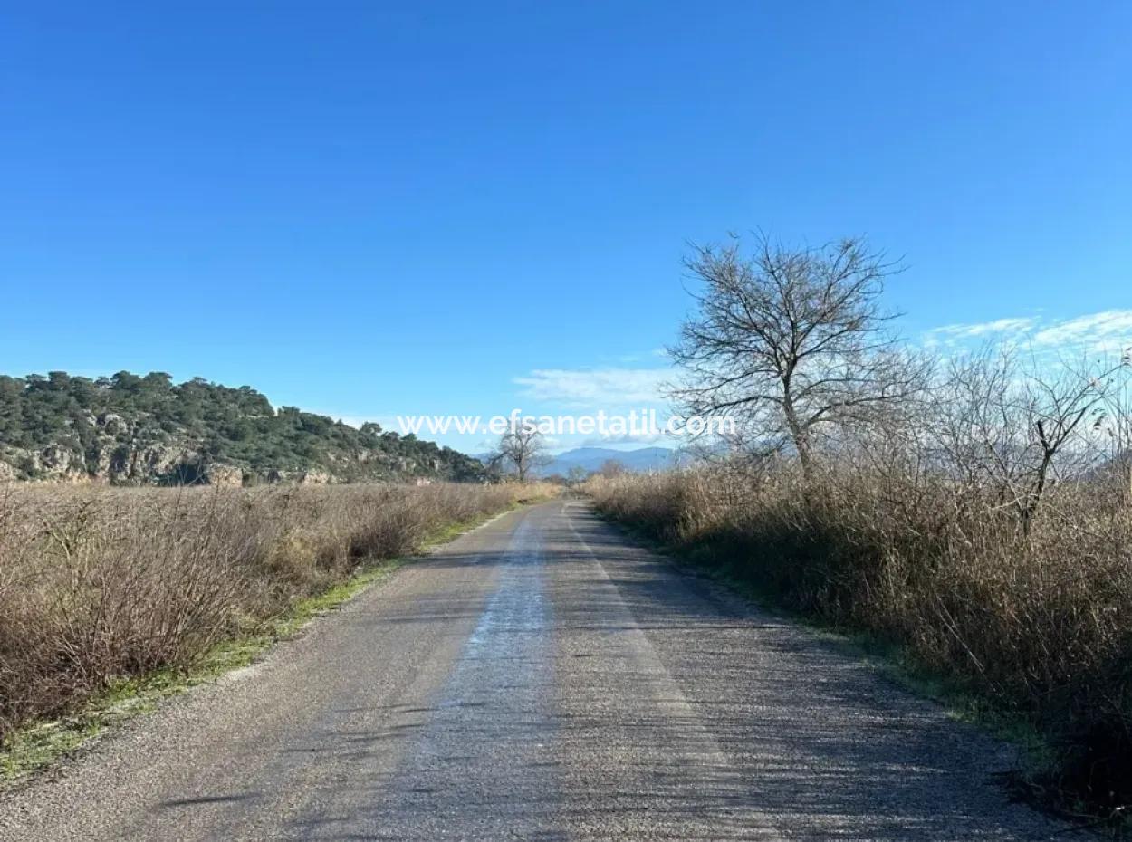 Fields Suitable For Cooperative In Ortaca Güzelyurt Are For Sale