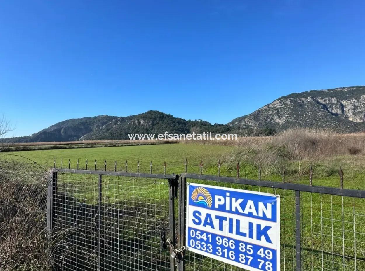 Fields Suitable For Cooperative In Ortaca Güzelyurt Are For Sale