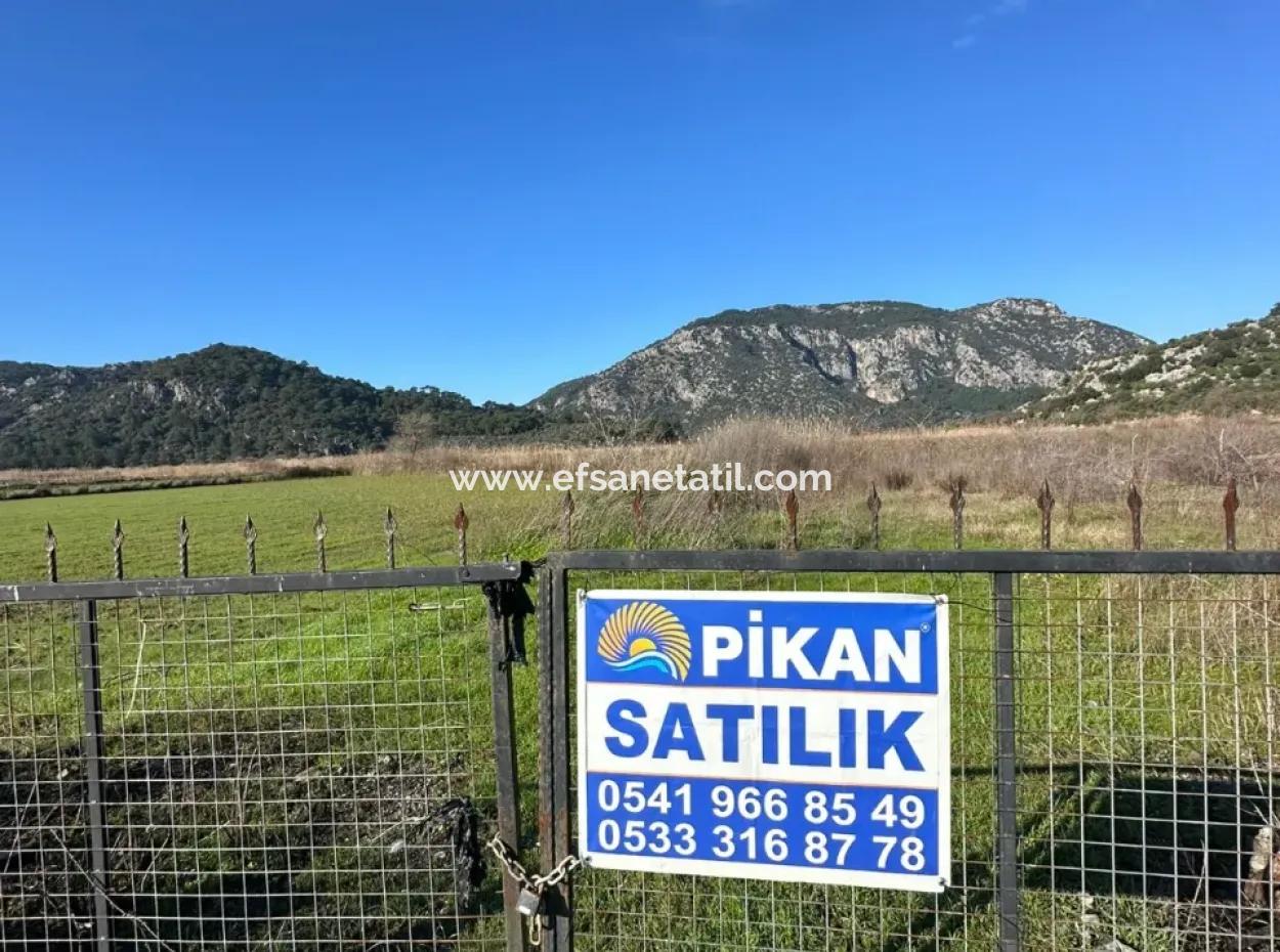 Fields Suitable For Cooperative In Ortaca Güzelyurt Are For Sale