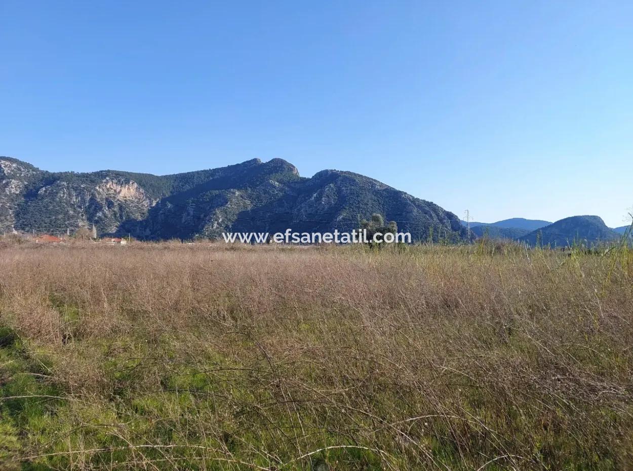 4.800 M2 Land For Sale In Muğla Ortaca Dalyan