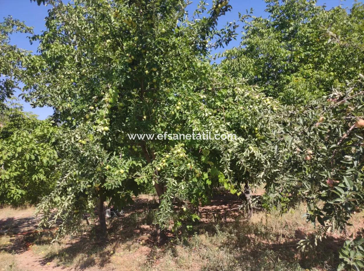 Stone Village House And 1042 M2 Detached Land For Sale On A 504 M2 Plot In Çameli, Cevizli
