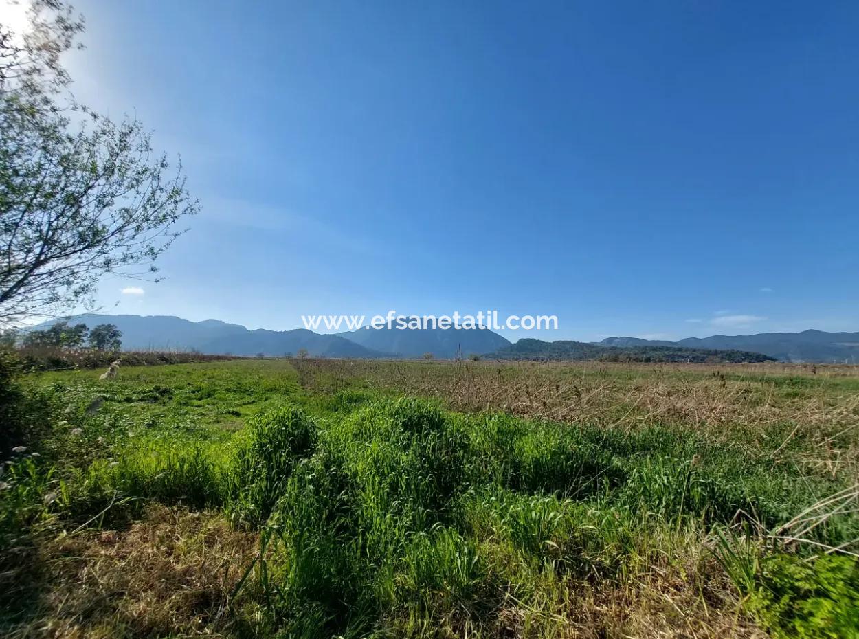 Fertile 6.350 M2 Land For Sale In Muğla Ortaca Güzelyurt