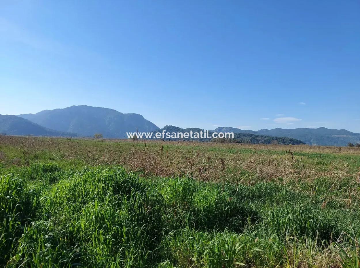 Fertile 6.350 M2 Land For Sale In Muğla Ortaca Güzelyurt